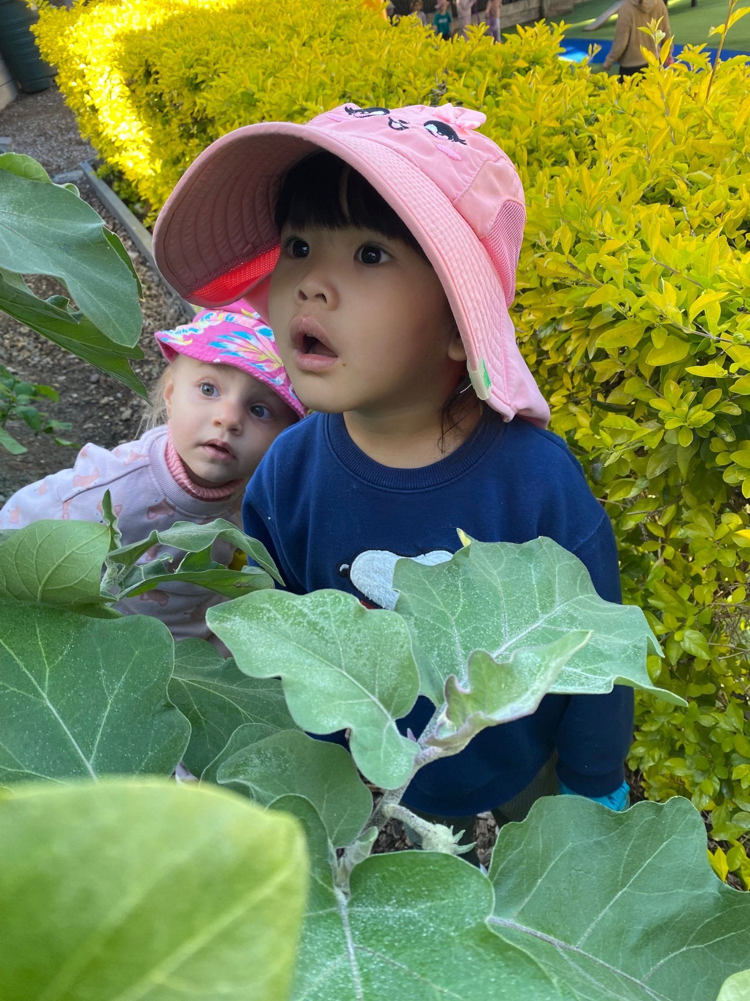 pine mountain road child care